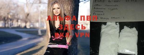 кокс Бородино
