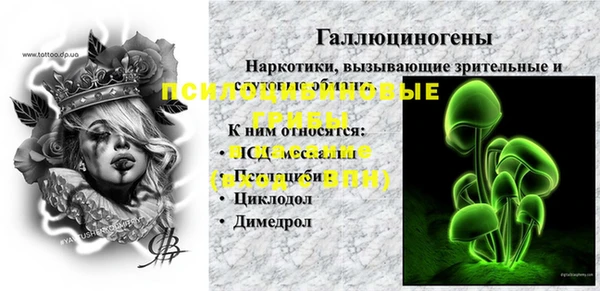кокс Бородино