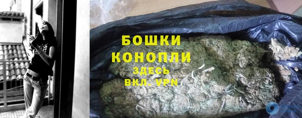 прущие грибы Бугульма
