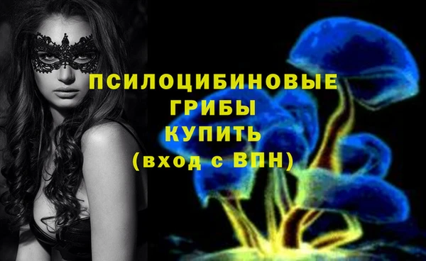 кокс Бородино